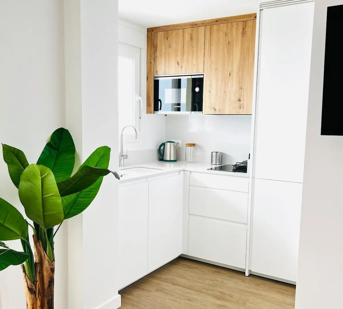 Apartment New Carihuela Park Luxury Close To Beach Sinesedesignhomes Torremolinos Spain
